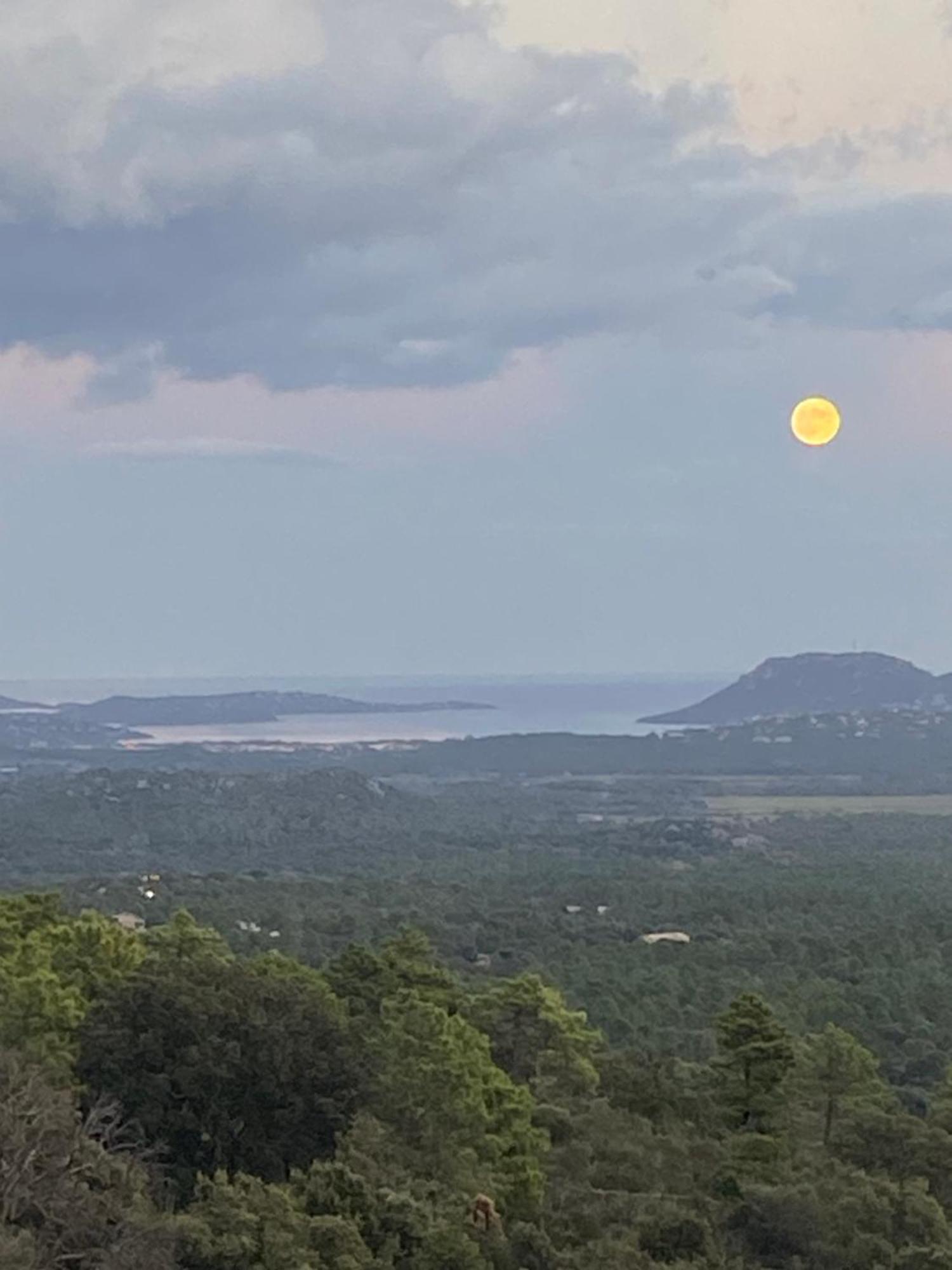 소타 Vue Panoramique Proche Porto-Vecchio Vista Corsica B&B 외부 사진