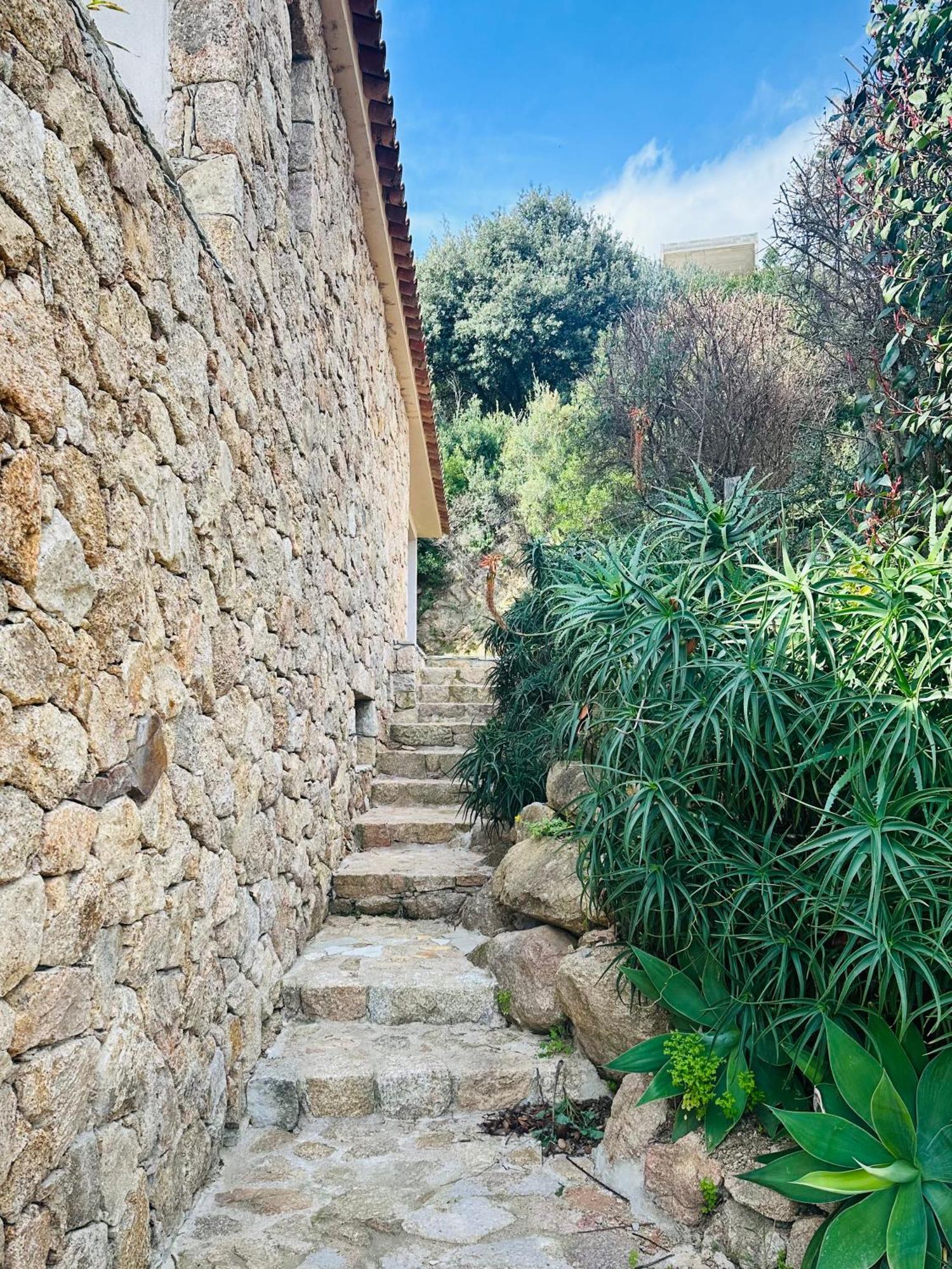 소타 Vue Panoramique Proche Porto-Vecchio Vista Corsica B&B 외부 사진